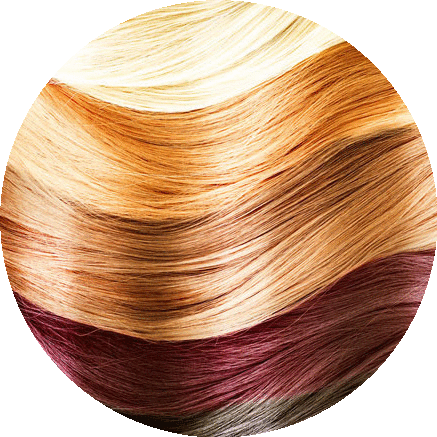 Color Specialist